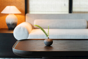 简约客厅中的绿植小景