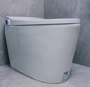 智能马桶简洁外观展示