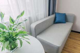 简约客厅沙发绿植一角