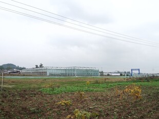 田野旁的温室设施