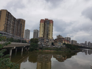 河畔城市景观高楼映碧水