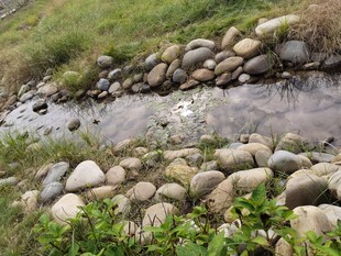溪边石景自然野趣风光