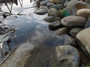 溪边散落的多彩石头景观