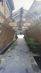 狭窄小巷中的静谧景致