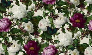 花卉图案多彩花卉绽放