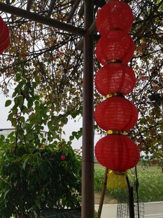 户外悬挂的红色喜庆灯笼