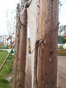 木桩上的绳索固定装置