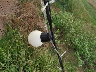 草地上的户外球形灯具