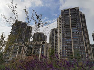 城市繁花簇拥的高楼景观