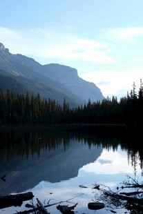湖畔雪山森林的静谧风光