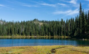山间静谧湖泊与葱郁林木