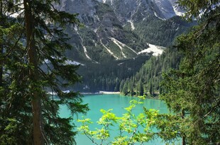 森林环绕的碧绿湖泊