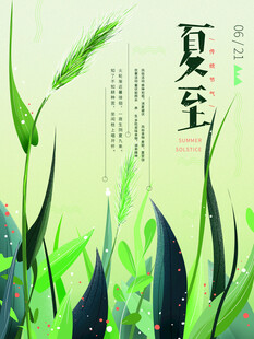 夏至海报