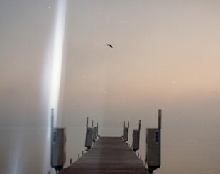 黄昏码头 飞鸟伴光柱而翔