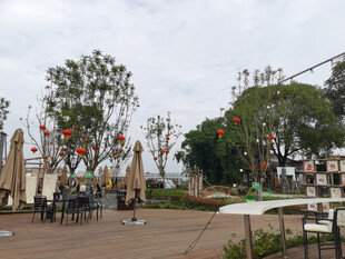 户外休闲场景氛围惬意