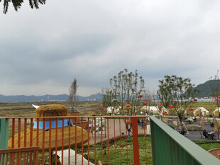 田园风光中的游乐场景