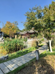 中式园林小径景观