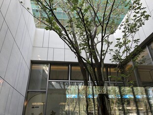 现代建筑中庭绿植景观