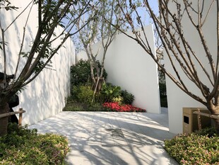 简约庭院景观设计