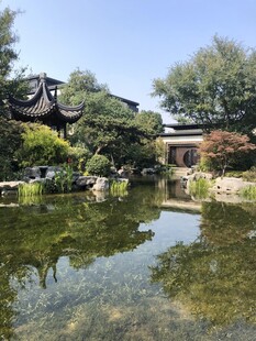 中式园林池塘景观