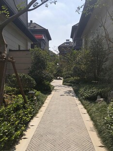 中式庭院小径景观