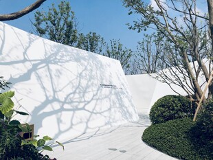 简约庭院白墙绿植景观