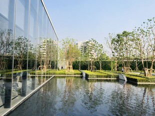 现代建筑旁的静谧水景