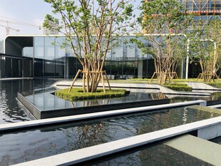 现代庭院水景景观设计