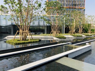 现代园林景观水景设计