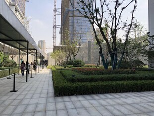 城市现代景观步道场景