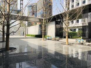 现代城市建筑前的开阔广场