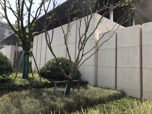 现代建筑旁的绿植景观