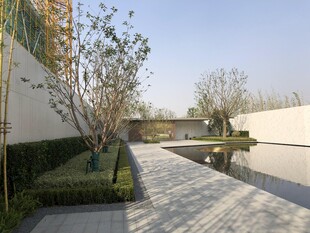 现代庭院景观设计