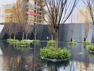 城市水景中的绿植景观