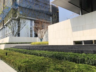 现代建筑旁的精致绿植景观