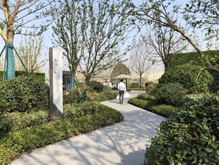 精致优雅的园林景观小径