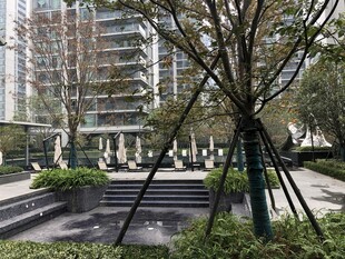 城市中绿植与建筑景观