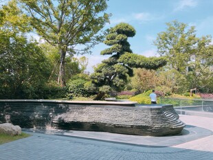 园林景观中的精致盆景