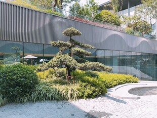 现代庭院景观绿植景致