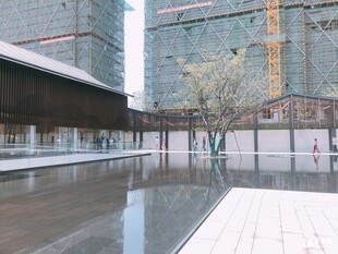 现代建筑旁的静谧水景