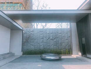 现代庭院景观墙与水景