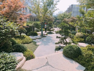 雅致庭院景观小道