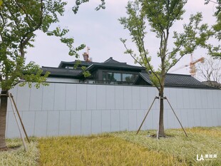 中式围墙旁的绿树景观