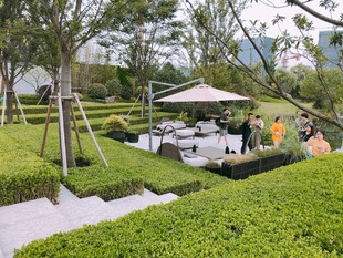 户外精致花园聚会场景