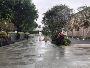 雨后湿润的街道景观