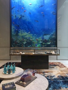 客厅中的大型精美水族箱