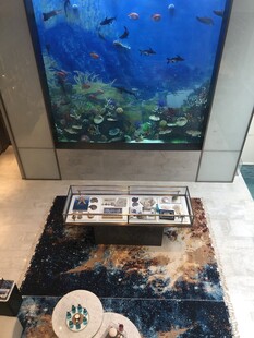 现代客厅中的大型水族箱