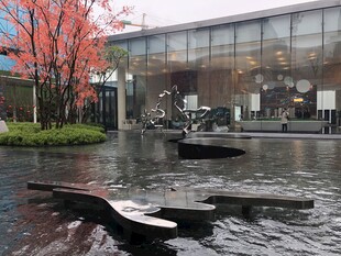 现代建筑旁的水景与红树