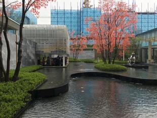 城市中静谧的水景与红枫