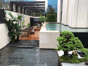 现代庭院景观一角